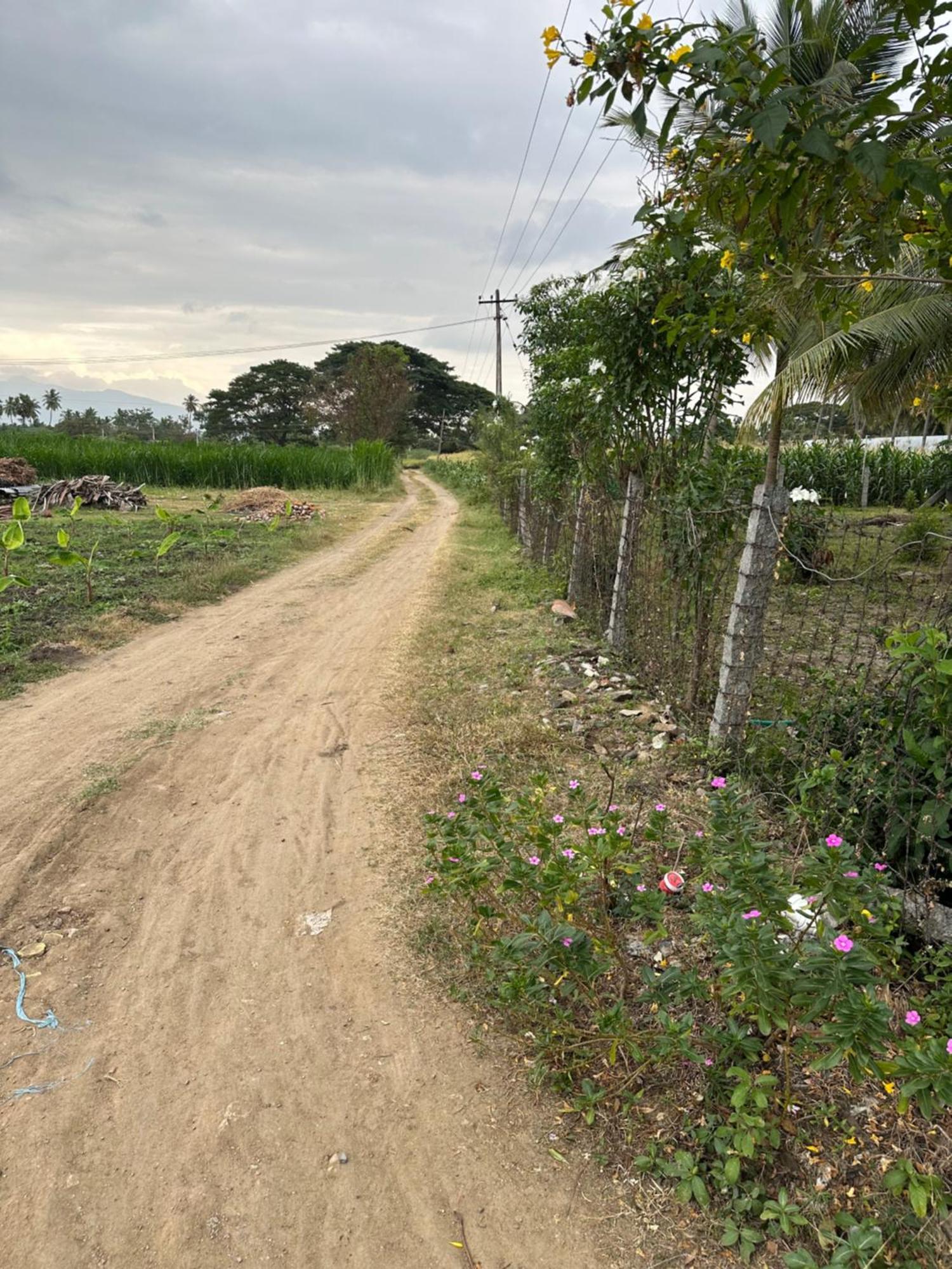 Sakthi Garden Home Stay Erode Dış mekan fotoğraf